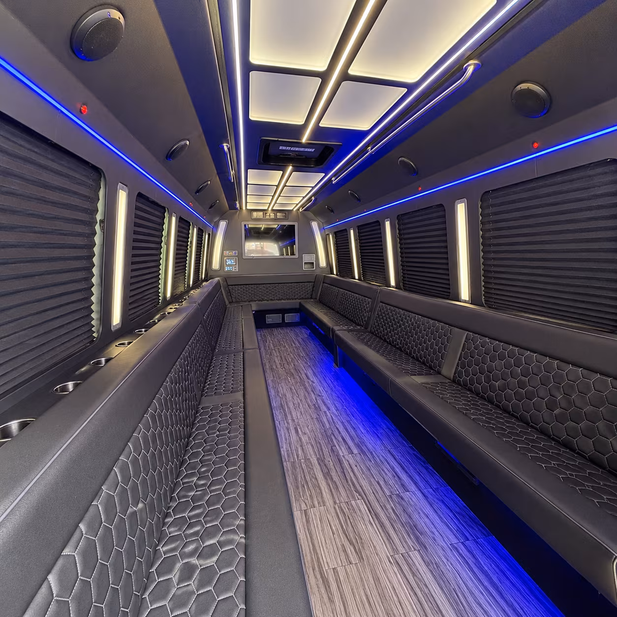 hemet 30 passenger party bus interior