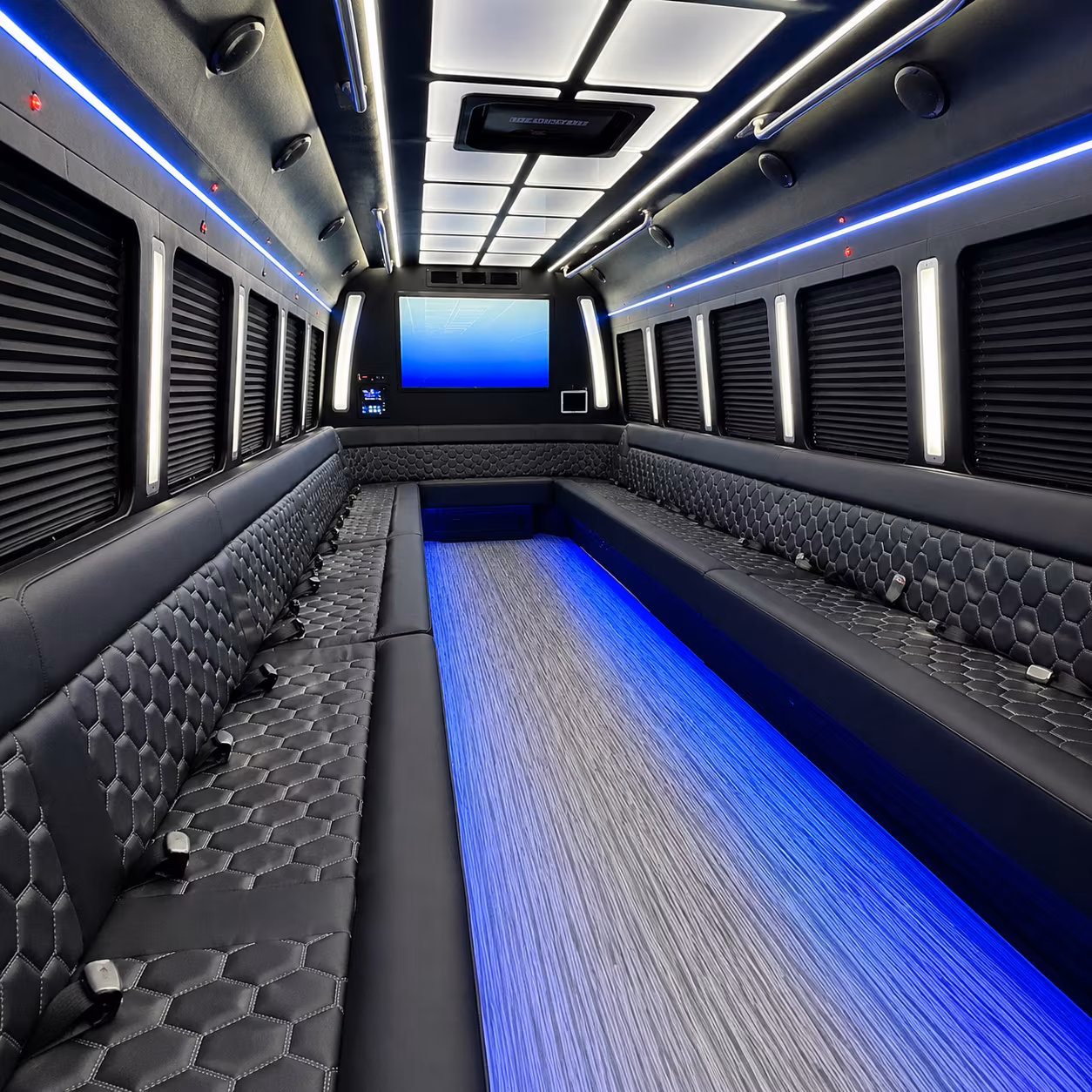 hemet 50 passenger party bus inside